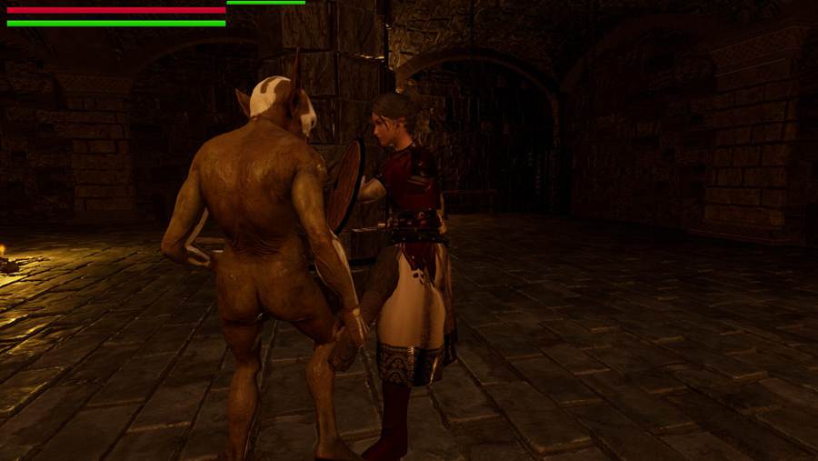 [PC][ACT]诺蒂卡的女骑士-[DL官方中文版]-精选游戏荟